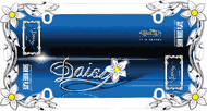 Daisy License Plate Frame